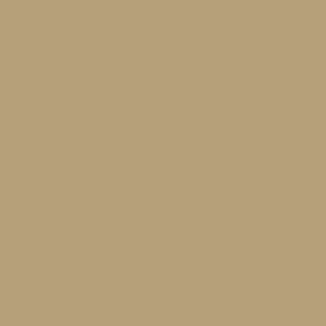 Blends 39 Tan 1